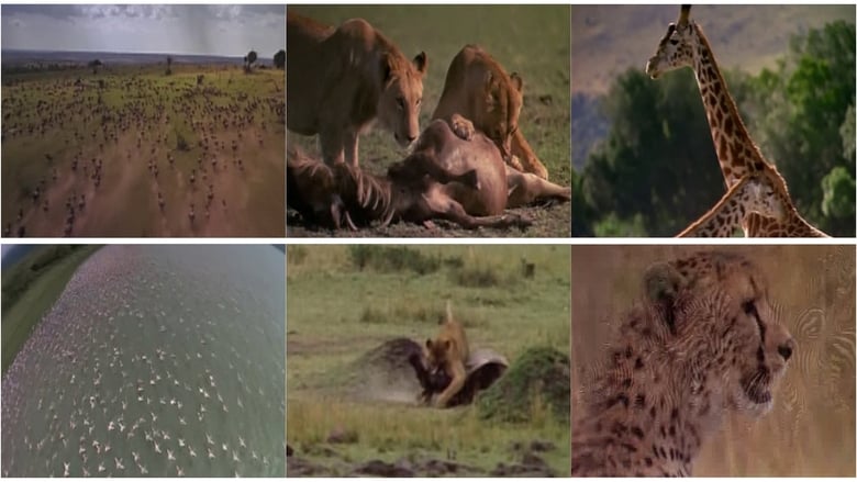 Nonton Film Africa: The Serengeti (1994) Subtitle Indonesia Filmapik