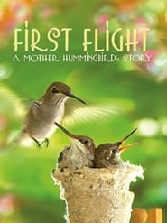 Nonton Film First Flight: A Mother Hummingbird’s Story (2009) Subtitle Indonesia - Filmapik