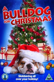 Nonton Film A Bulldog for Christmas (2013) Subtitle Indonesia - Filmapik