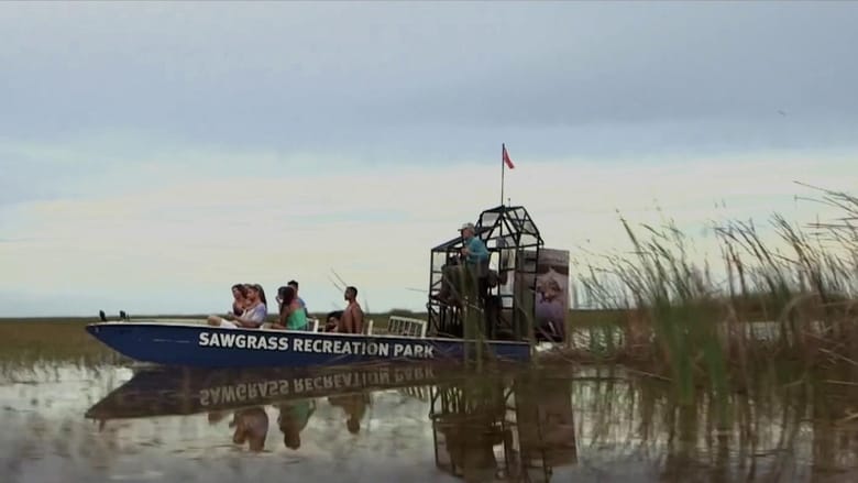 Nonton Film Lake Fear 2: The Swamp (2019) Subtitle Indonesia - Filmapik