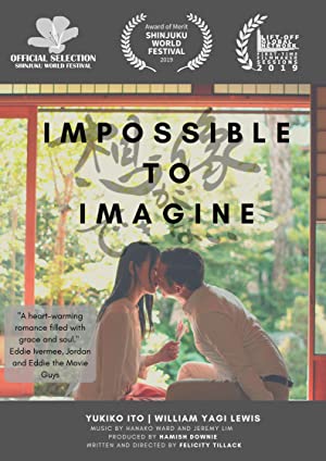 Impossible to Imagine (2019)
