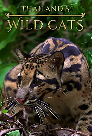 Thailand’s Wild Cats (2021)