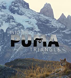 Nonton Film Into the Puma Triangle (2020) Subtitle Indonesia