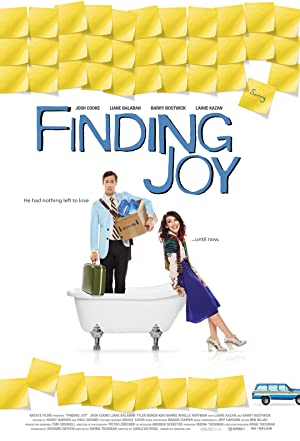 Nonton Film Finding Joy (2013) Subtitle Indonesia