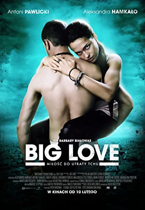 Nonton Film Big Love (2012) Subtitle Indonesia