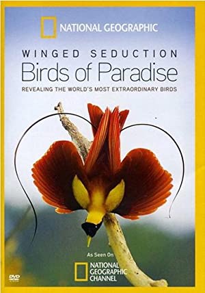 Nonton Film Winged Seduction: Birds of Paradise (2012) Subtitle Indonesia