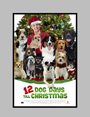 Nonton Film 12 Dog Days Till Christmas (2014) Subtitle Indonesia