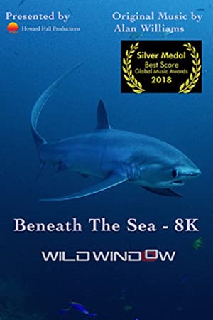 Nonton Film Wild Window: Beneath the Sea (2018) Subtitle Indonesia